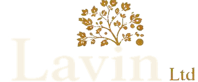 Lavin Ltd logo
